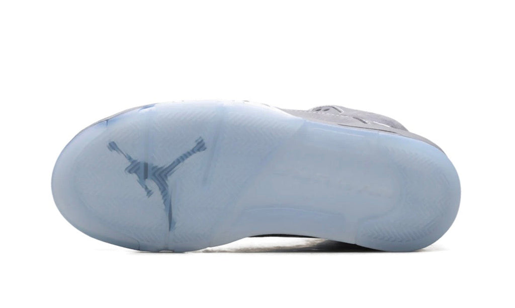 Jordan 5 Wolf Grey