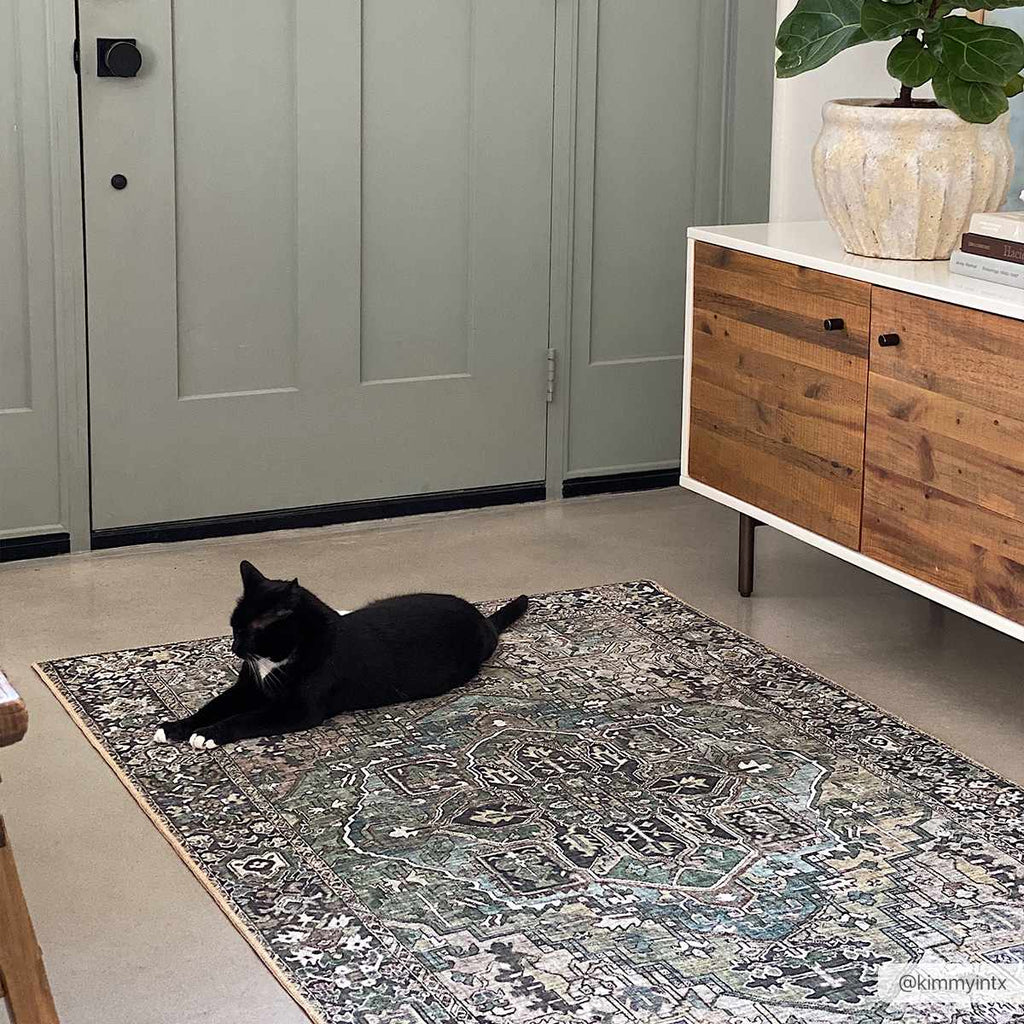 Sage Green Area Rug – Neyland, Modern Home Decor