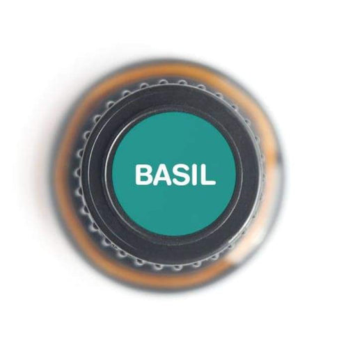 Basil Pure Essential Oil – 15ml, Therapeutic Grade