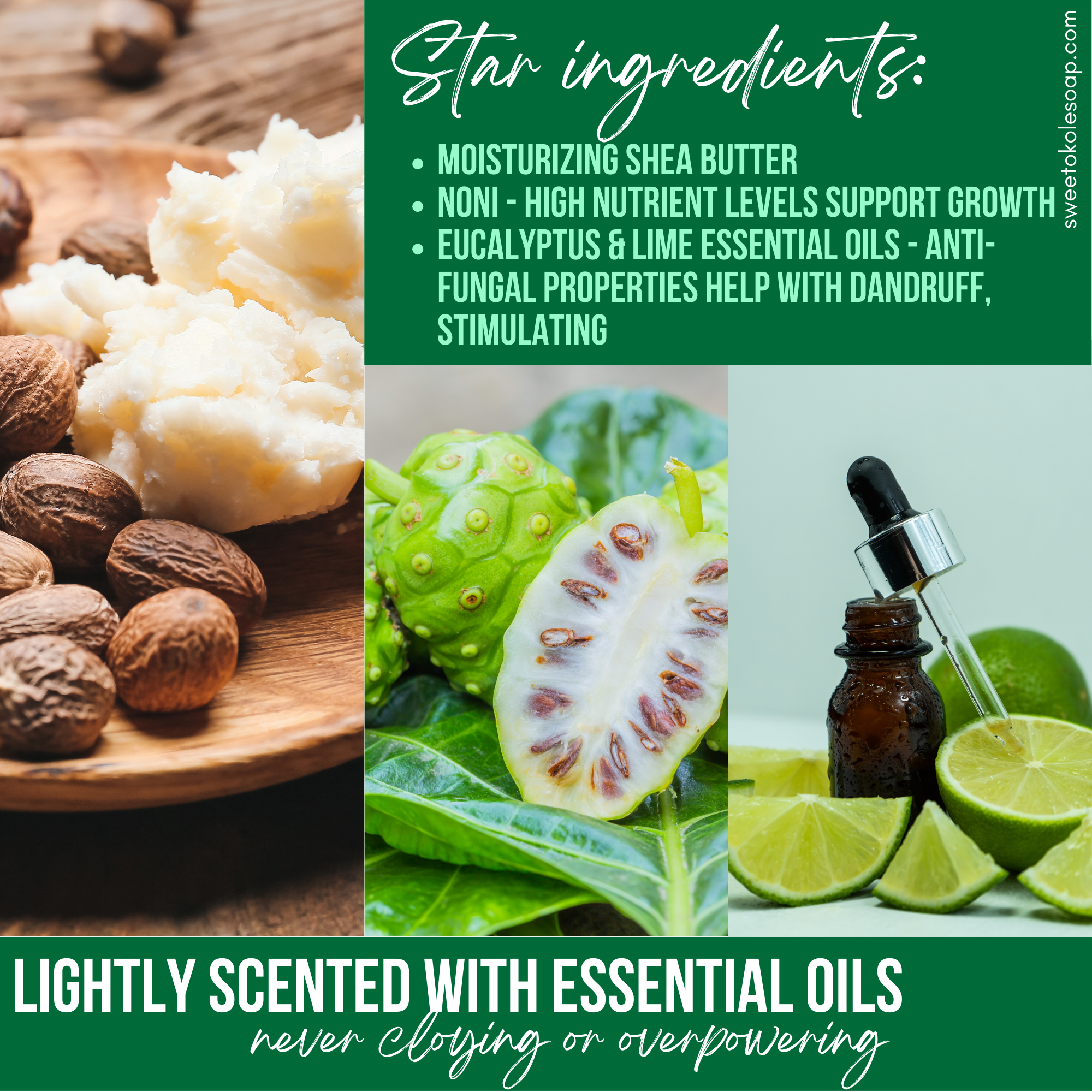 Natural Shampoo Bar – Eucalyptus & Lime with Noni